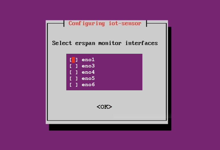 Screenshot of the select erspan monitor screen.