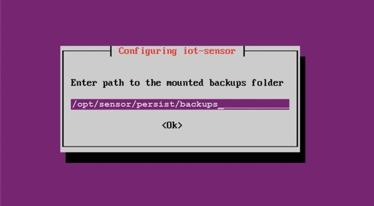 Screenshot of the mounted backup path screen.