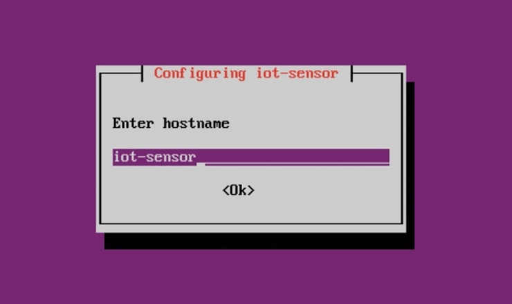 Screenshot of the Enter hostname screen.