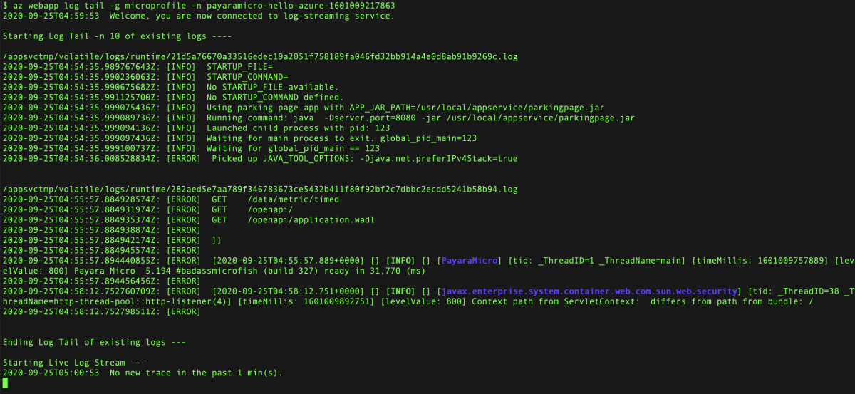 Screenshot of terminal window showing log stream.