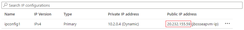 Screenshot of public IP address assigned to the network interface.