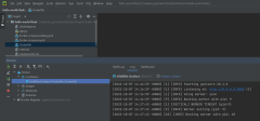 Screenshot showing an example of running a container in PyCharm.
