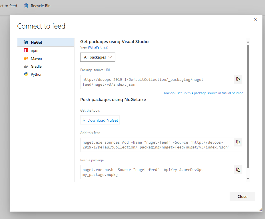 A screenshot showing how to set up your NuGet project in Server 2019.