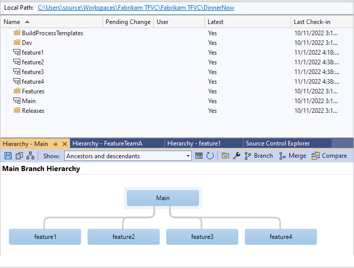 Screenshots that show feature isolation noise in Source Control Explorer view.