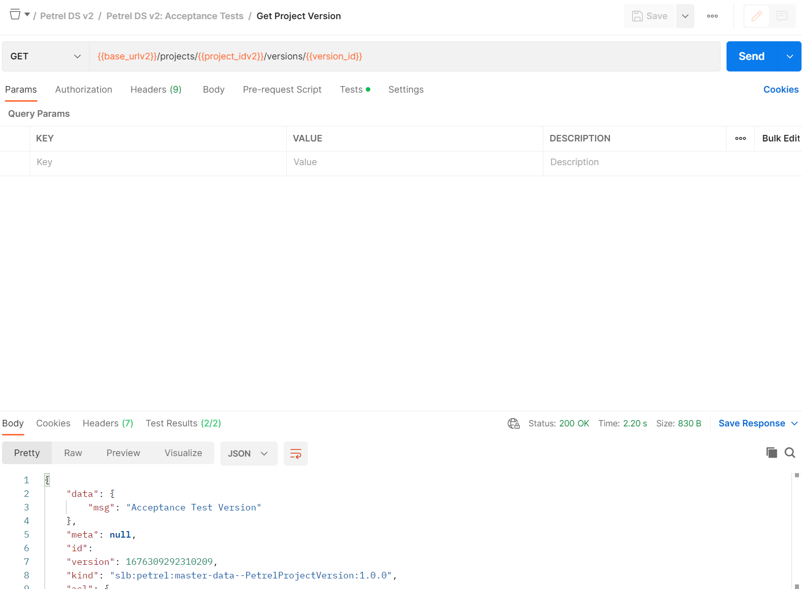 Screenshot that shows the API that gets project version.