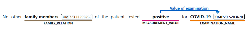 A screenshot of Named Entity Recognition False Positive.