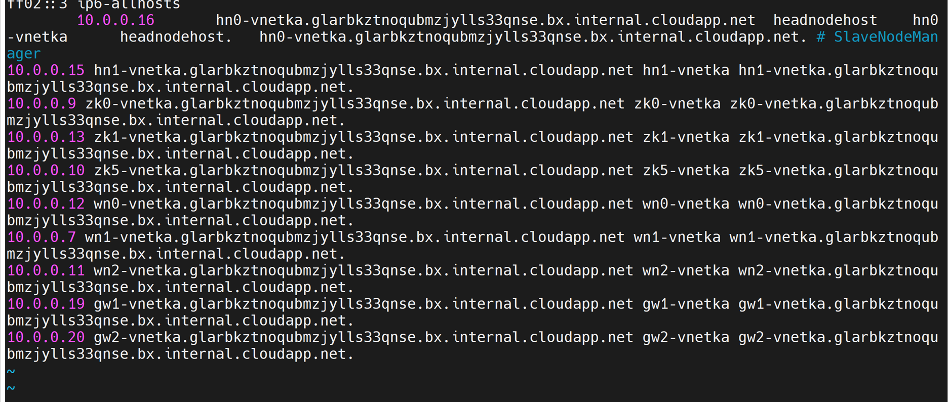 Screenshot showing host file output.