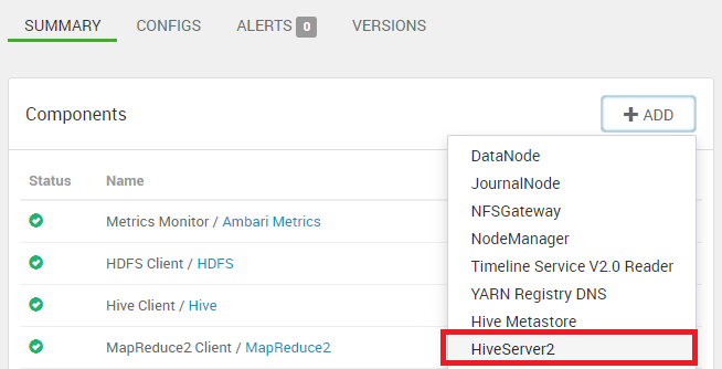 Add HiveServer2 panel of host.