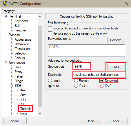 PuTTY Configuration tunneling options