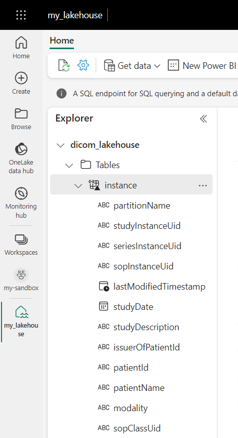 Screenshot that shows the table columns listed in the Explorer view.