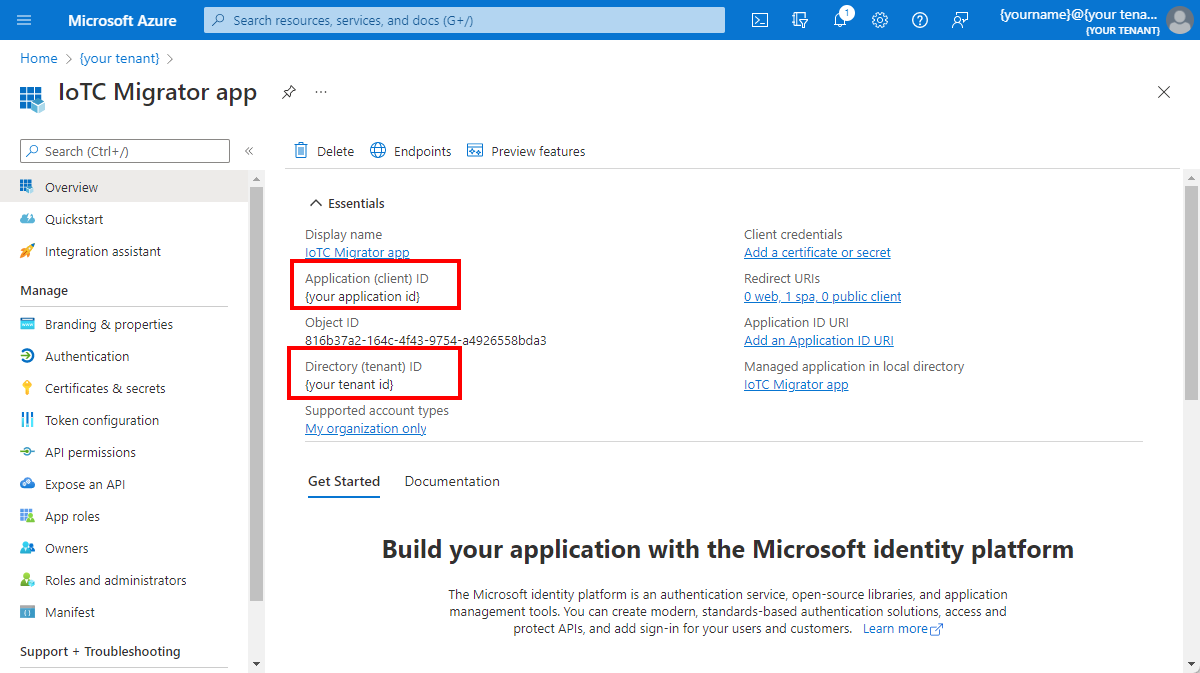 Screenshot that shows the Microsoft Entra application in the Azure portal.
