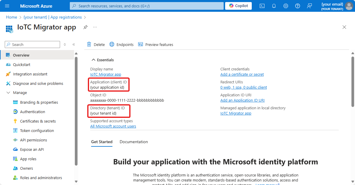 Screenshot that shows the Microsoft Entra application in the Azure portal.