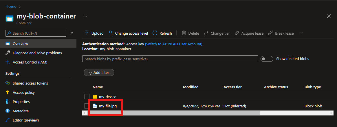 Screenshot of the container in the Azure portal that shows the uploaded file.