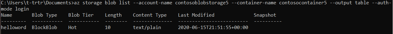 Console output of the above command. It displays the file that was just stored in the container.