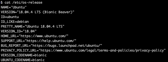 Screenshot of Ubuntu terminal showing OS version data