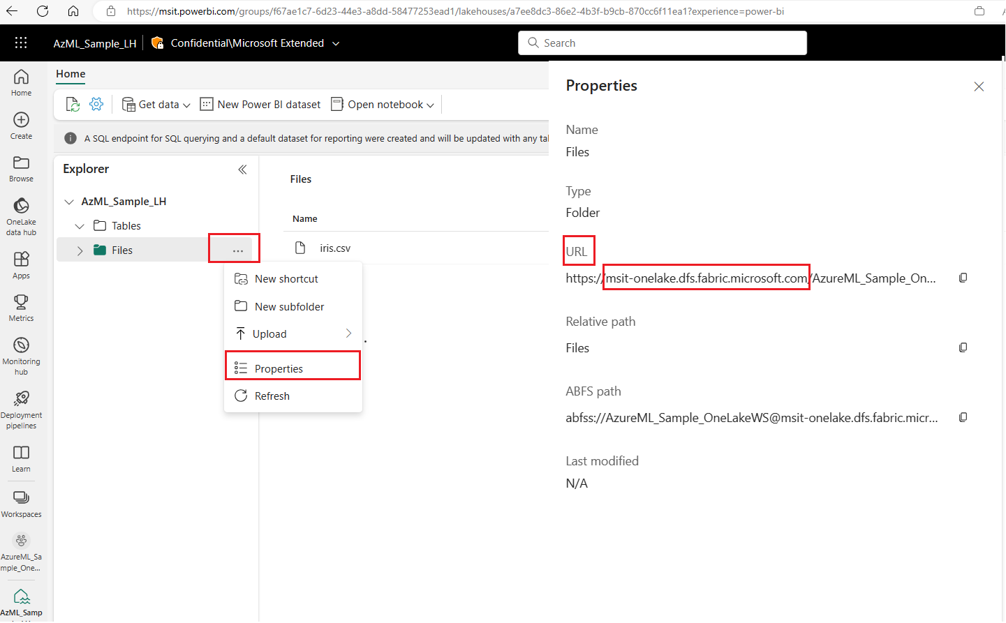 Screenshot that shows Microsoft Fabric endpoint details in the Microsoft Fabric UI.