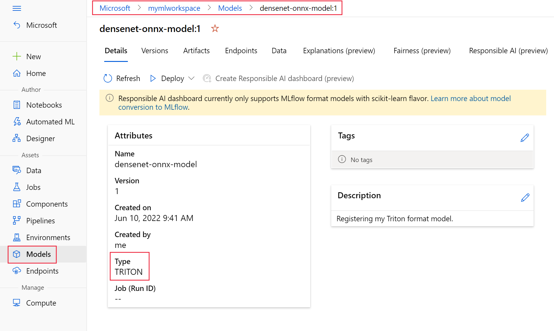Screenshot showing Triton model format on Models page.