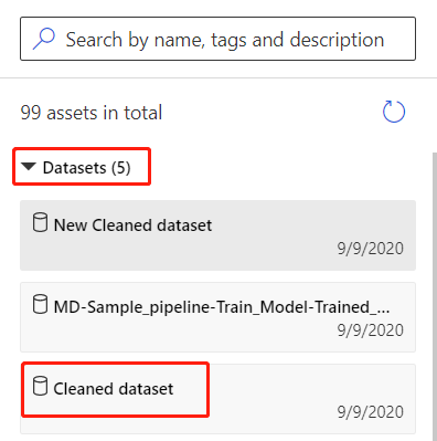 Screenshot showing location of saved datasets in the designer palette