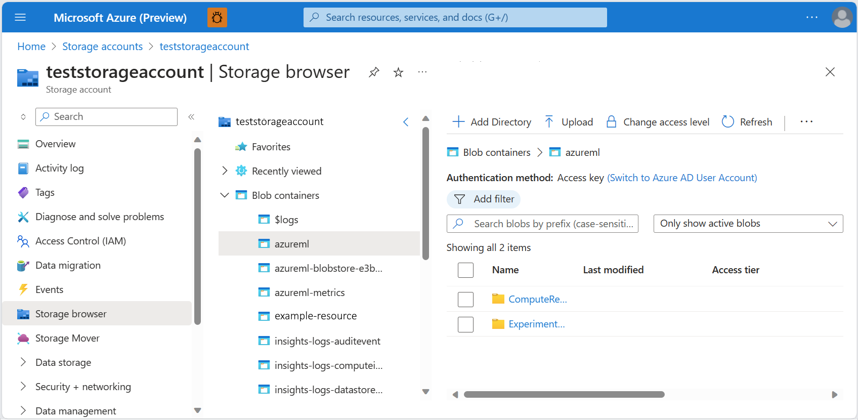 Screenshot of the Azure Machine Learning directory in the storage account, within the portal.