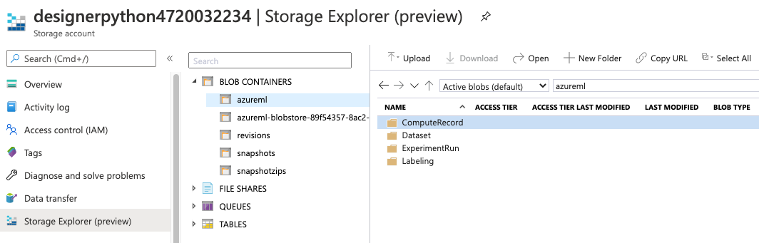 Screenshot of azureml directory in storage account, within the portal