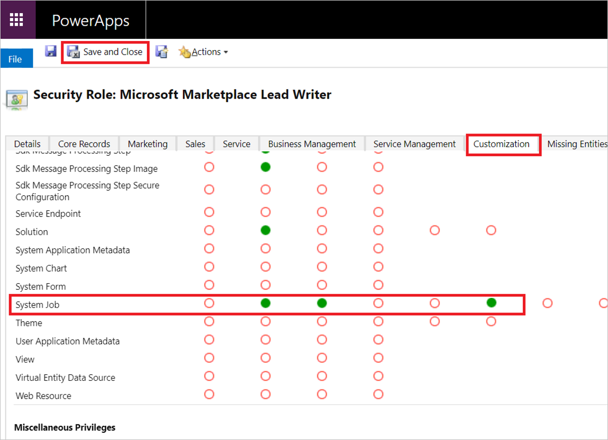 Microsoft Marketplace Lead Writer Customization tab