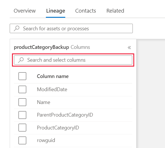 Screenshot showing how to filter columns by column name on the lineage page.