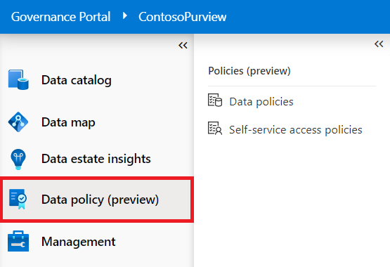 Screenshot of the Microsoft Purview governance portal with the leftmost menu open, and the Data policy page option highlighted.