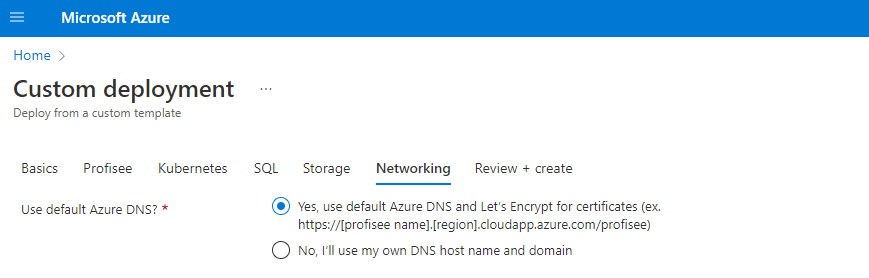 Screenshot of the ARM deployment Networking page, with Yes use default Azure DNS selected.
