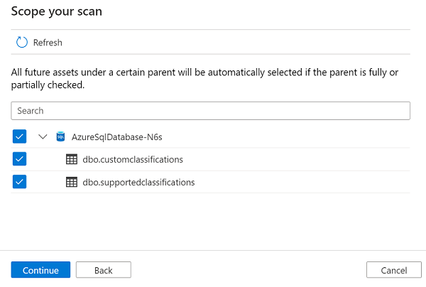 Screenshot that shows options for scoping a scan.