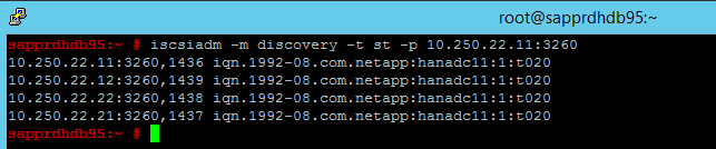 Screenshot that shows a console window with results of the discovery command.