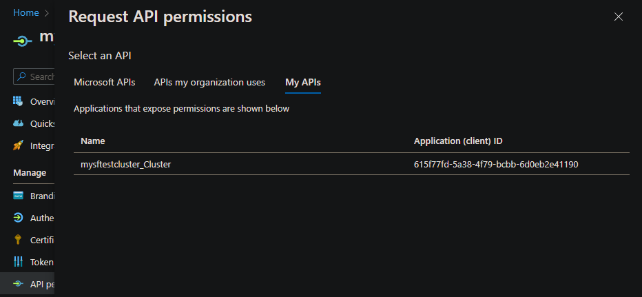 Screenshot of the pane for requesting API permissions.