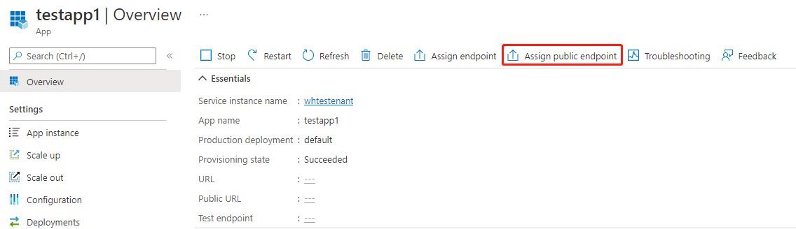 Screenshot of Azure portal showing how to assign a public FQDN to your application.