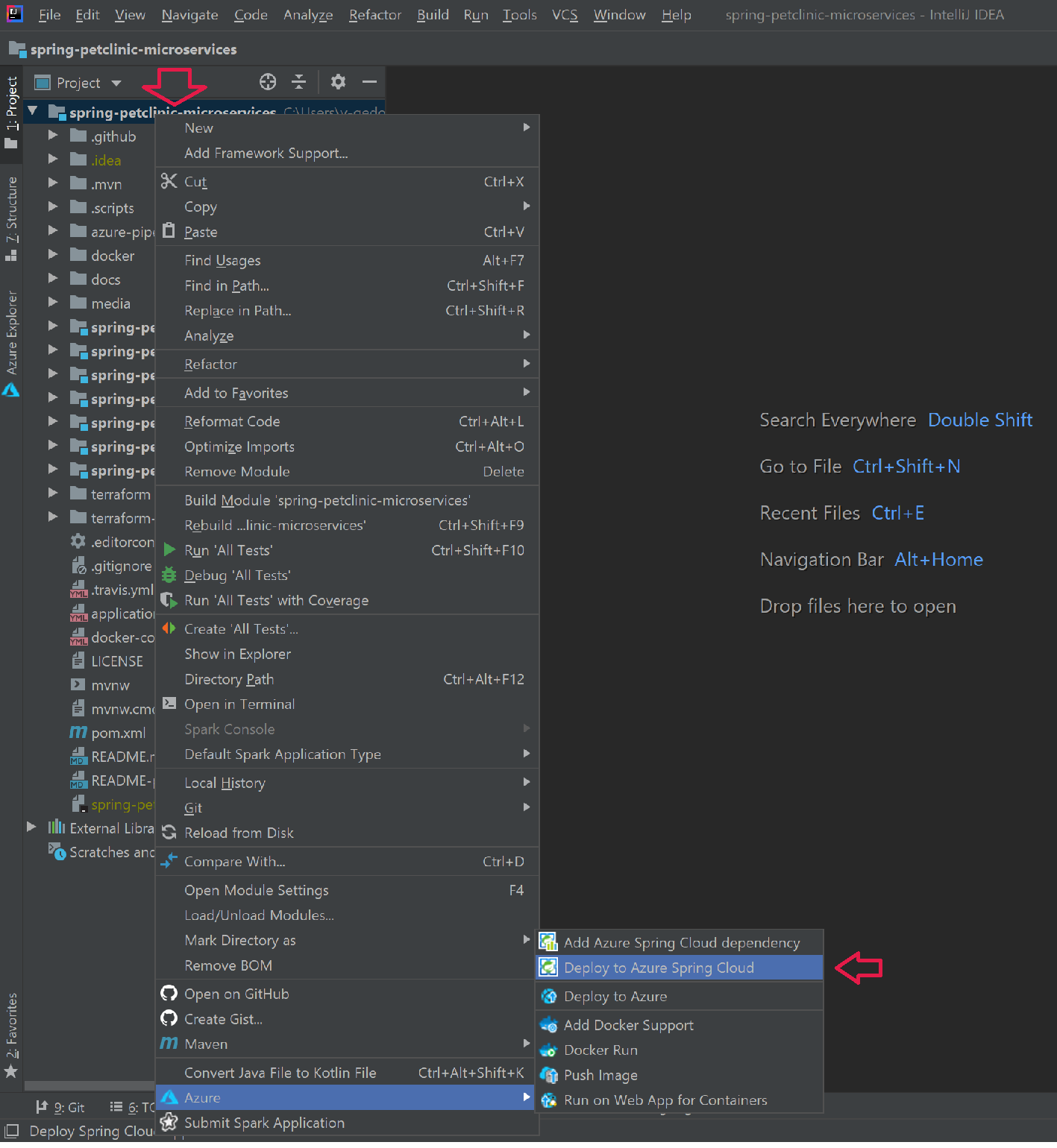 Screenshot of the IntelliJ project explorer showing how to deploy the PetClinic sample project.