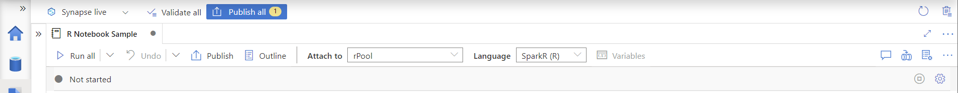 Screenshot of the R language option.