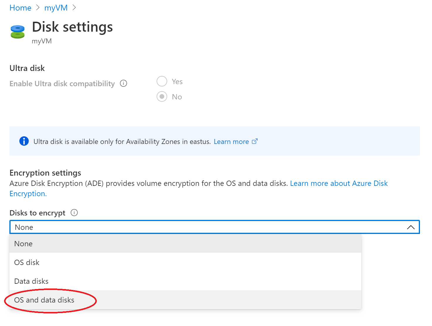 Screenshot that highlights OS and data disks.