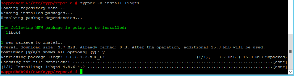 Screenshot that shows a console window installing the first package.