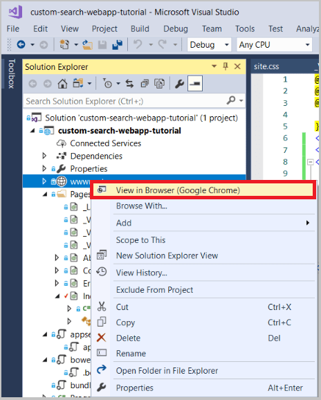 Screenshot of solution explorer selecting View in Browser from the wwwroot context menu