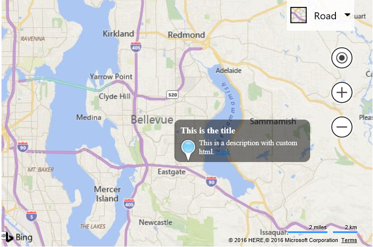 Screenshot showing a Bing map with a black infobox that contains a custom white and blue pushpin.