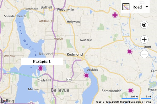 Screenshot of the Bing map showing a pushpin with a tooltip above it that contains the name of the pushpin.