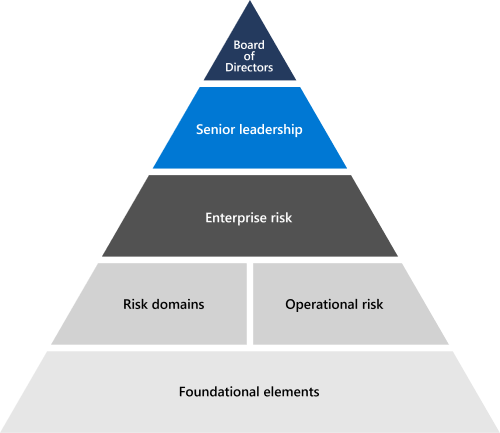 Risk management structure.