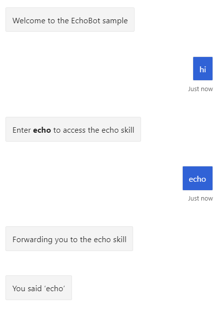 Enter 'echo' to get the root bot to start the echo skill.