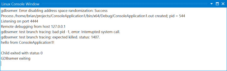 Screenshot showing the Linux Console window.