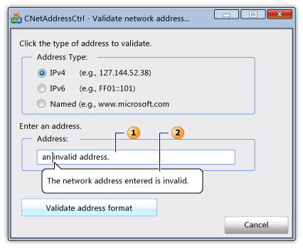 Dialog with a network address control and infotip.