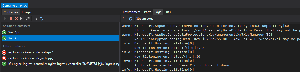 Visual Studio "Containers" window