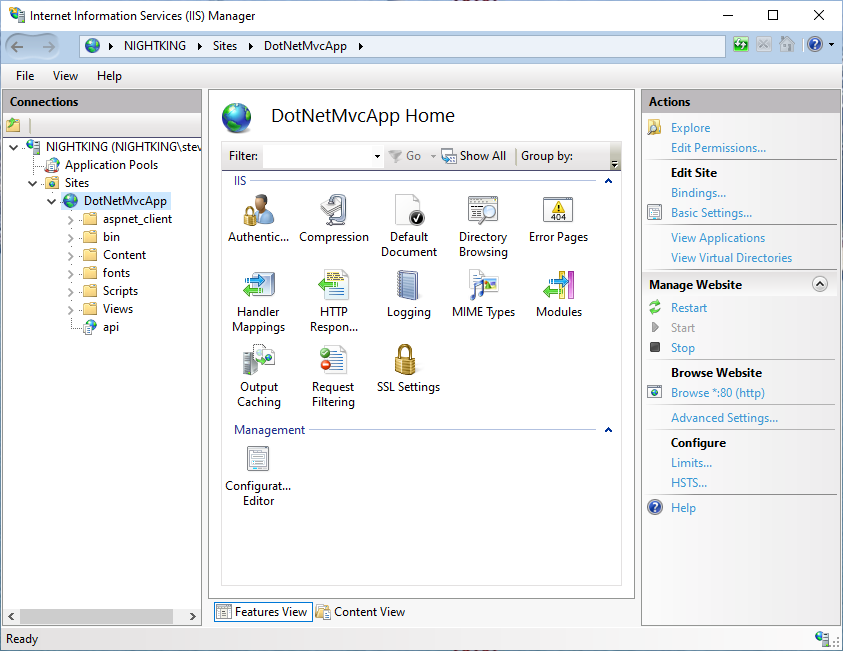 IIS Manager showing api app within .NET Framework site