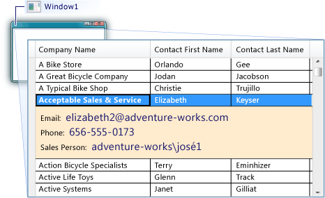 DataGrid shown with row details