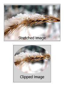Screenshot of an image control displayed in two different ways.