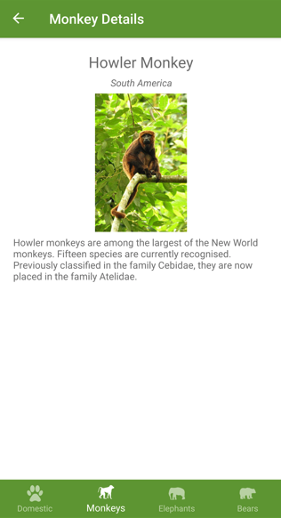 Screenshot of monkey details.