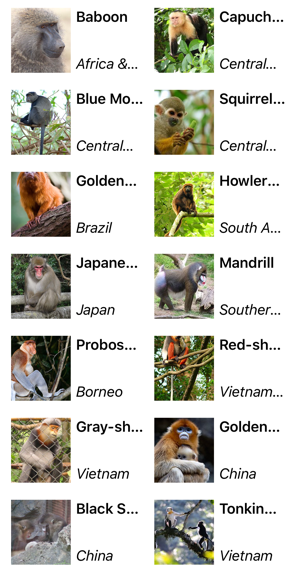 Screenshot of CollectionView vertical grid layout.