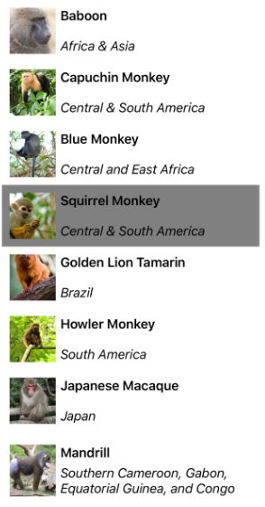 Screenshot of a CollectionView vertical list with single preselection.